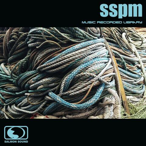 SSPM 325: Guitars Etc