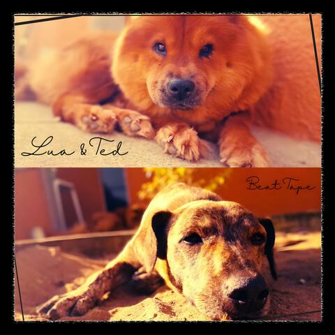 Lua & Ted