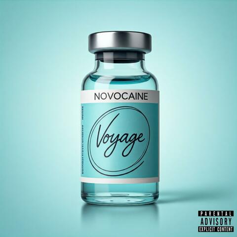 Voyage