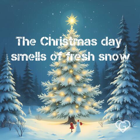 The Christmas day smells of fresh snow