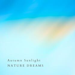 Autumn Sunlight