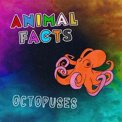 Octopuses