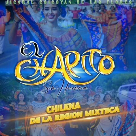 Chilena De La Region Mixteca