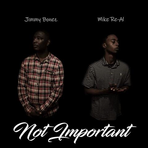 Not Important (feat. Jimmy Bonez)