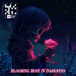 Blooming Rose in Darkness