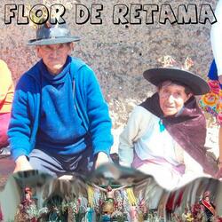 Flor de Retama