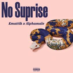 No Suprise (feat. Alphamale)