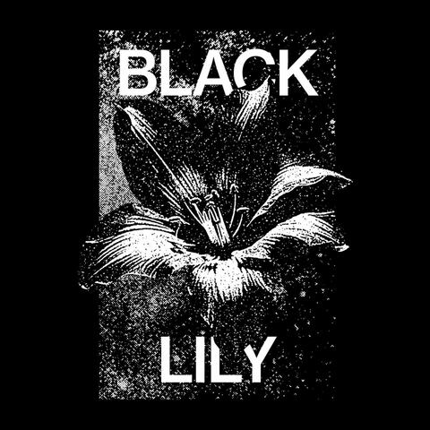 Black Lily