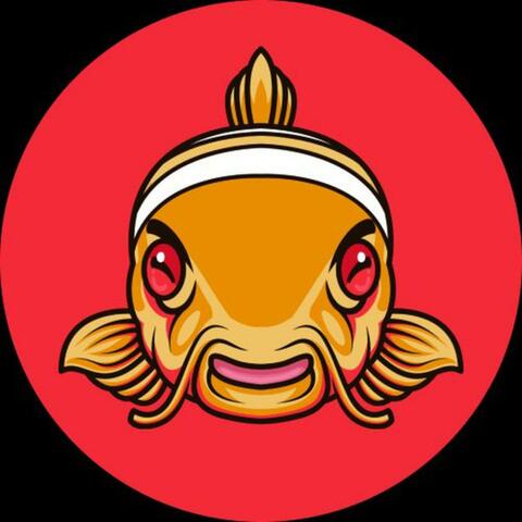 Nemo Sum