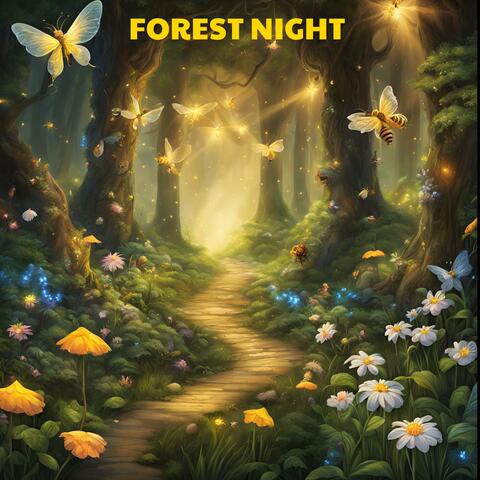 Forest Night