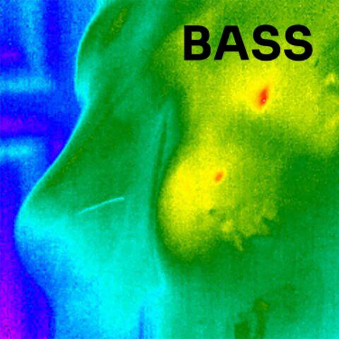 Bass