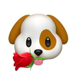 Puppy Love