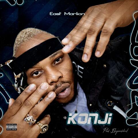 Konji