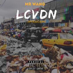 LCVDN (Hysacam)