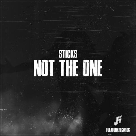 NOT THE ONE (feat. StickS)