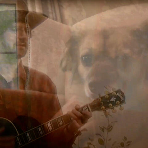 I Still Love Your Dog