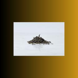 Loose Leaf