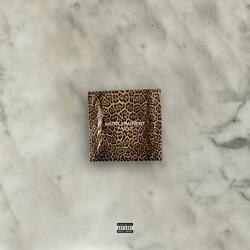 cheetahloverr<3