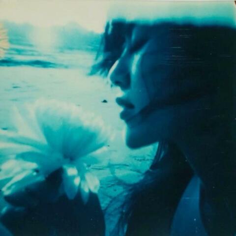 shadowsunderwater