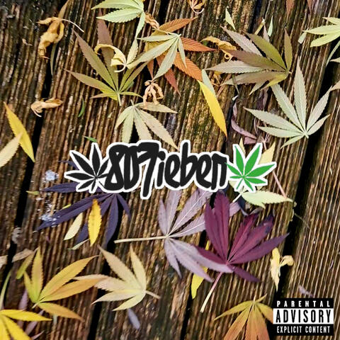 Break Down 2 The South (feat. ILL SANDER & Mr X)