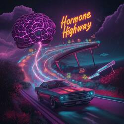 Hormone Highway