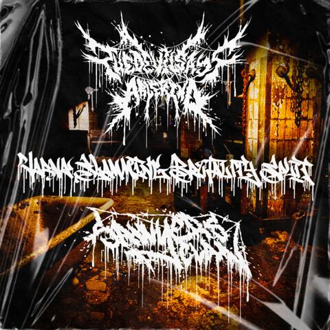 Varna Slamming Brutality Split