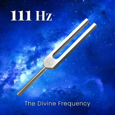 111 Hz The Divine Frequency (Tunning Fork)