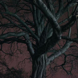 fading into darkness