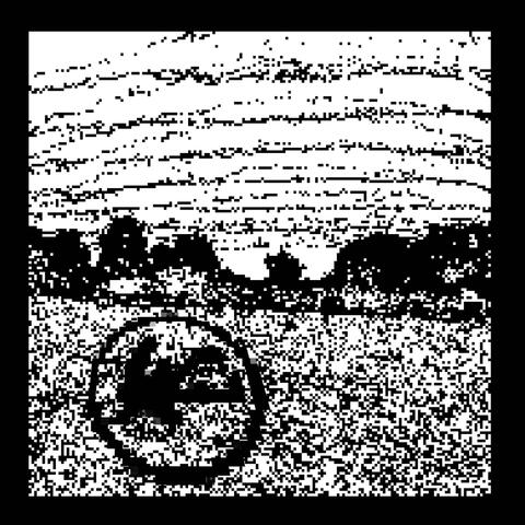 For I Have Seen The Calamity