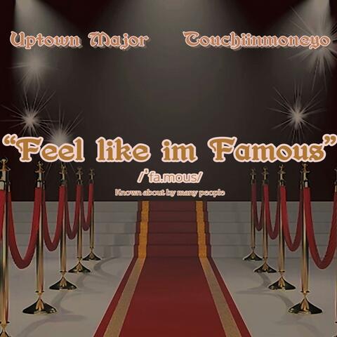 Feel like im Famous (feat. Touchiinmoneyo)