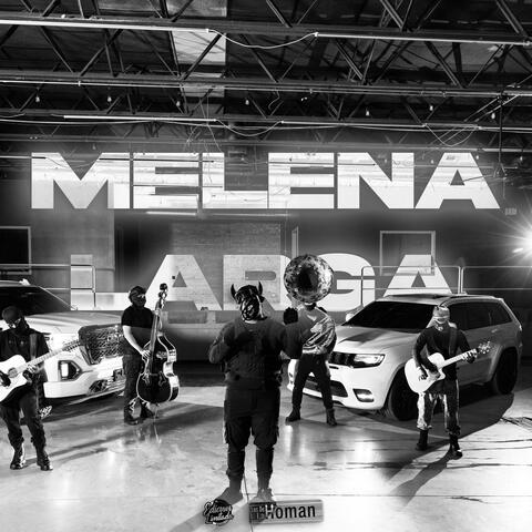 Melena Larga