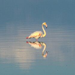 Journey to the Heart of Nature