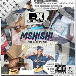 Mshishi