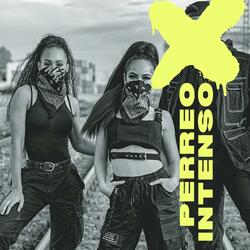 Perreo Intenso
