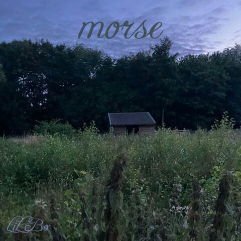 morse
