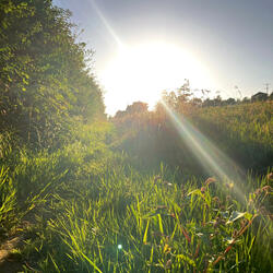 What a Beautiful Planet