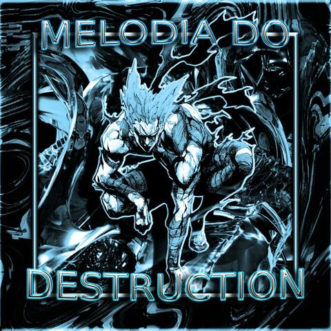 MELODIA DO DESTRUCTION