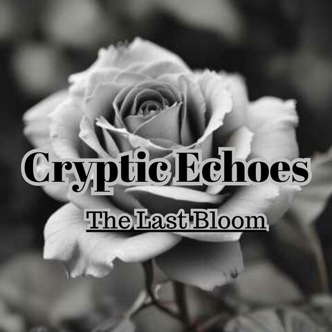 The Last Bloom