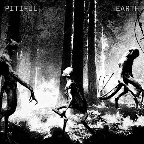 Pitiful Earth
