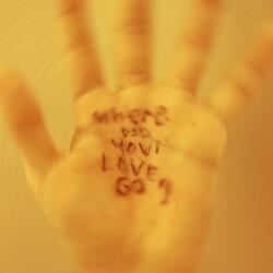 Where did your love go?