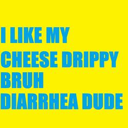 I Like My Cheese Drippy Bruh (Slowed & Reverb)