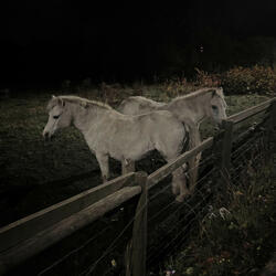 what were we? (feat. jlee)