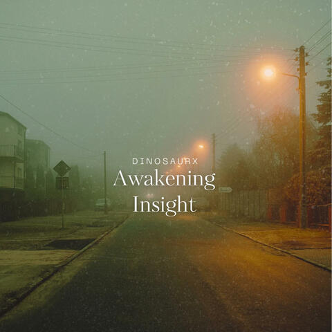 Awakening Insight