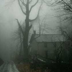 i didnt see the car coming