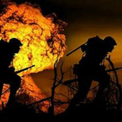 A war dying to come to an end! 2024
