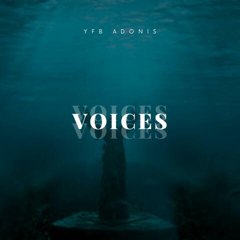 Voices