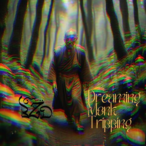 Dreaming Monk Tripping