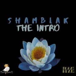 The Intro