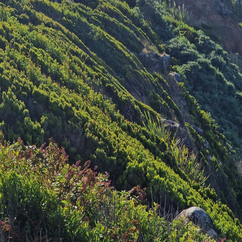 azores