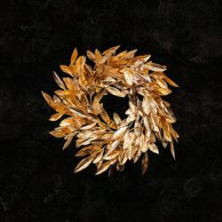 Rejoice (feat. John Arthur Greene) (Studio Version)
